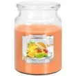 swieca zapachowa w szkle sloik xl owoce tropikalne bispol 100 h 14 cm
