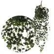 sztuczny kwiat zwis bluszcz hedera helix bomm 105 cm