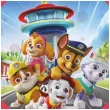 talerzyk plastikowy paw patrol czerwony procos 21 cm