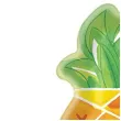 talerzyki papierowe ananas hawajskie party amscan