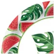 talerzyki papierowe arbuz paw 23 cm 10 szt