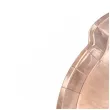 talerzyki papierowe penisek willy rozowe zlote 26 5 x 15 5cm partydeco