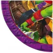 talerzyki papierowe zolwie ninja tmnt procos 23 cm 8 szt