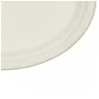 talerzyki trzcina cukrowa go green owalne arpex 26x19 cm 6 szt
