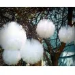 tiul drobny belka bialy partydeco 1 5 x 10 m
