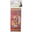 torebki papierowe harry potter party factory 20x10 cm 10 szt