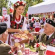 wykrojnik do masy czerwona foremka kontur polski swieto niepodleglosci 11 listopada konstytucji