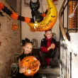 xx balon foliowy kot na ksiezycu halloween