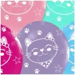 xx balony koty 12 5 szt