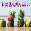 xx baner aloha z tukanem rozowa