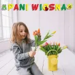 xx baner pani wiosna kum kum