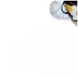 xx bfk balon foliowy 14 fx pszczolka