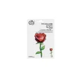 xx bfk balon foliowy roza 37x76 cm