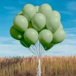 xx bl balony decomex 5 pastel eucalyptus 100 szt