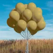 xx bl balony decomex 5 pastel mocha 100 szt