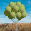 xx bl balony decomex 5 pastel olive 100 szt