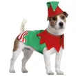 xx christmas elf dog size m