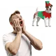 xx christmas elf dog size m
