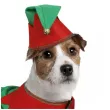xx christmas elf dog size s