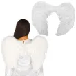 xx feather angel wings 60x40 cm