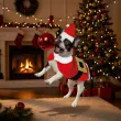 xx santa claus dog size l