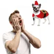 xx santa claus dog size l