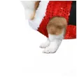 xx sequin christmas costume dog size m