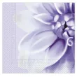 xx zse serwetki papierowe dhalia 33 x 33 cm 20szt