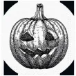 xx zse serwetki papierowe paw halloween bialo czarne dynia 33x33 cm 20 szt