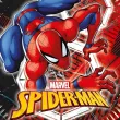 xx zta talerzyki papierowe spiderman world of web 20 cm 8 szt
