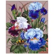 zestaw kreatywny do malowania po numerach kwiaty irysy obraz diy 40 x 50 cm