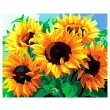 zestaw kreatywny do malowania po numerach sloneczniki obraz diy 50 x 40 cm